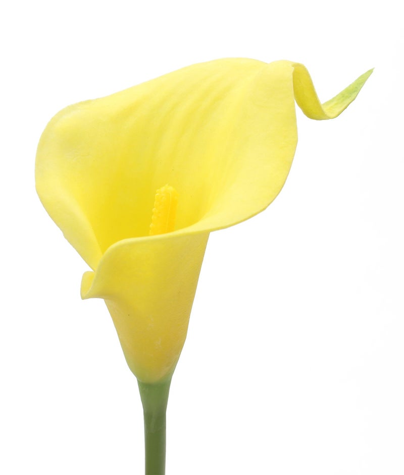 Duovlo 20pcs Calla Lily Bridal Wedding Bouquet Lataex Real Touch Artificial Flower Home Party Decor (Yellow) - Image 2